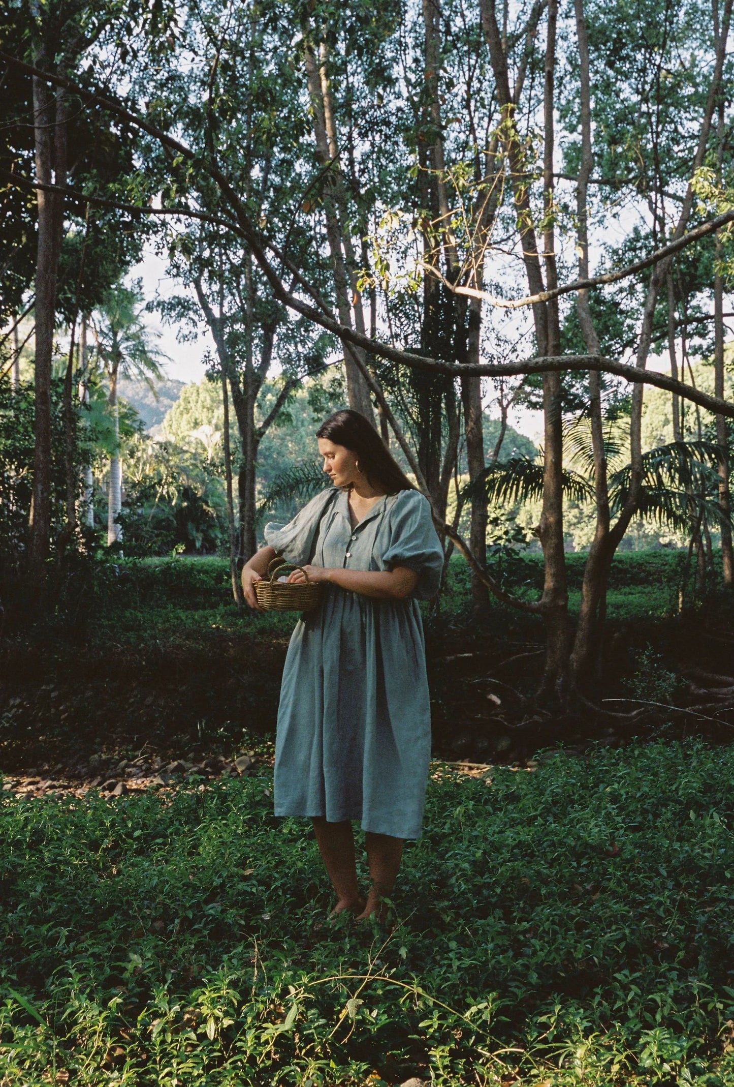 Sofia dress in Sage green