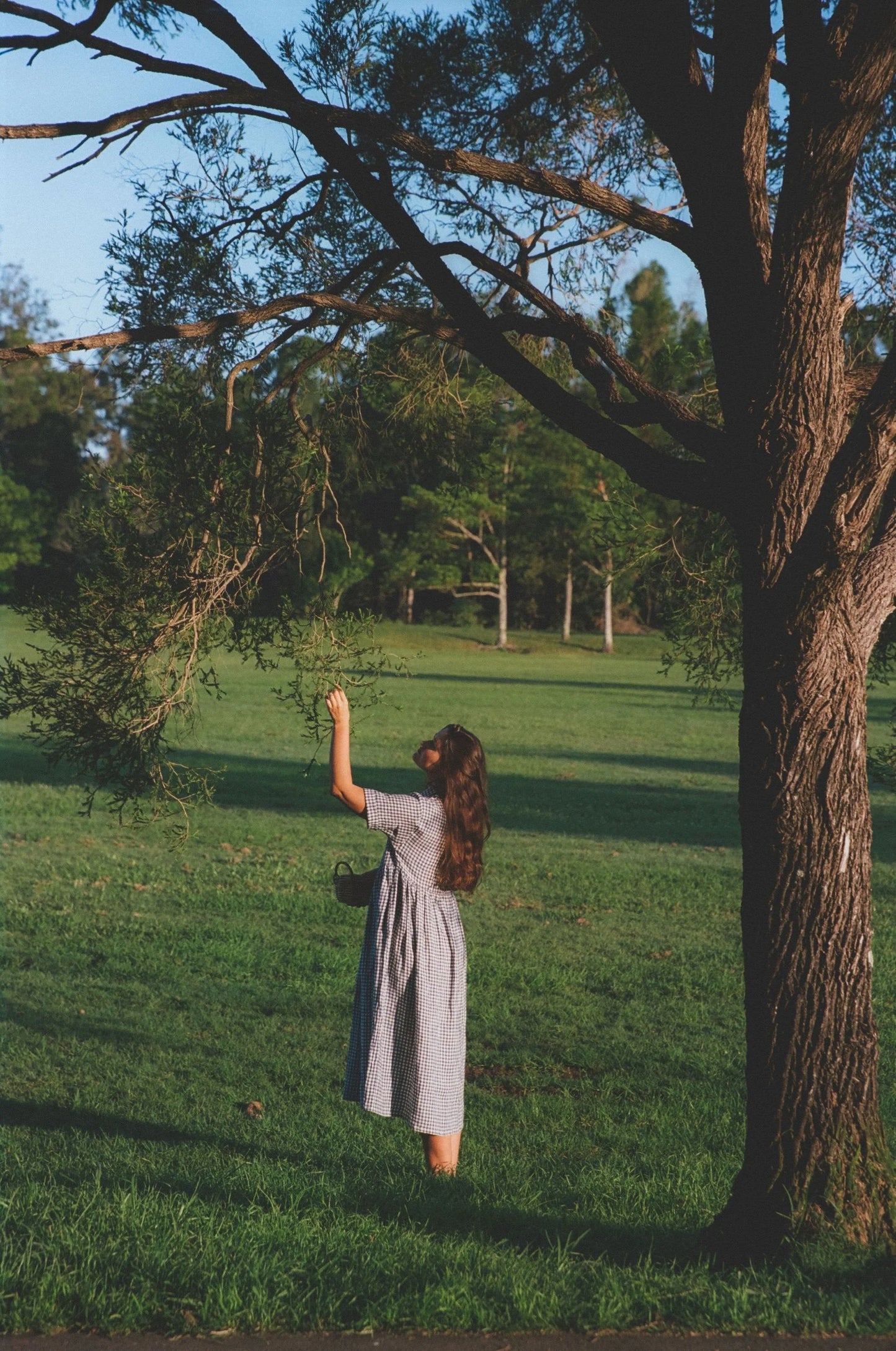 Santa Fe dress - Blue gingham
