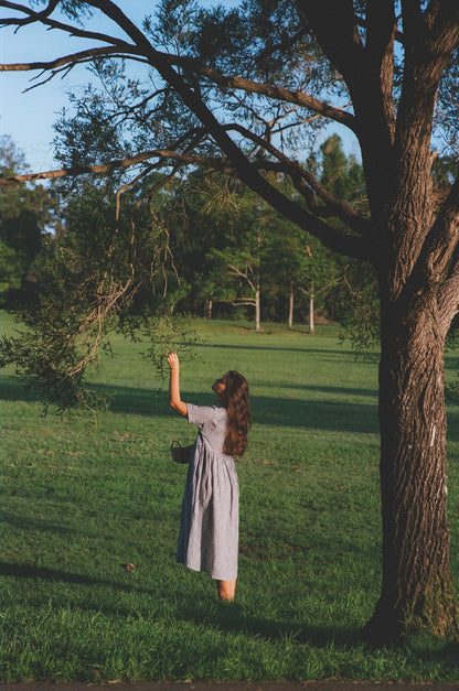 Santa Fe dress - Blue gingham