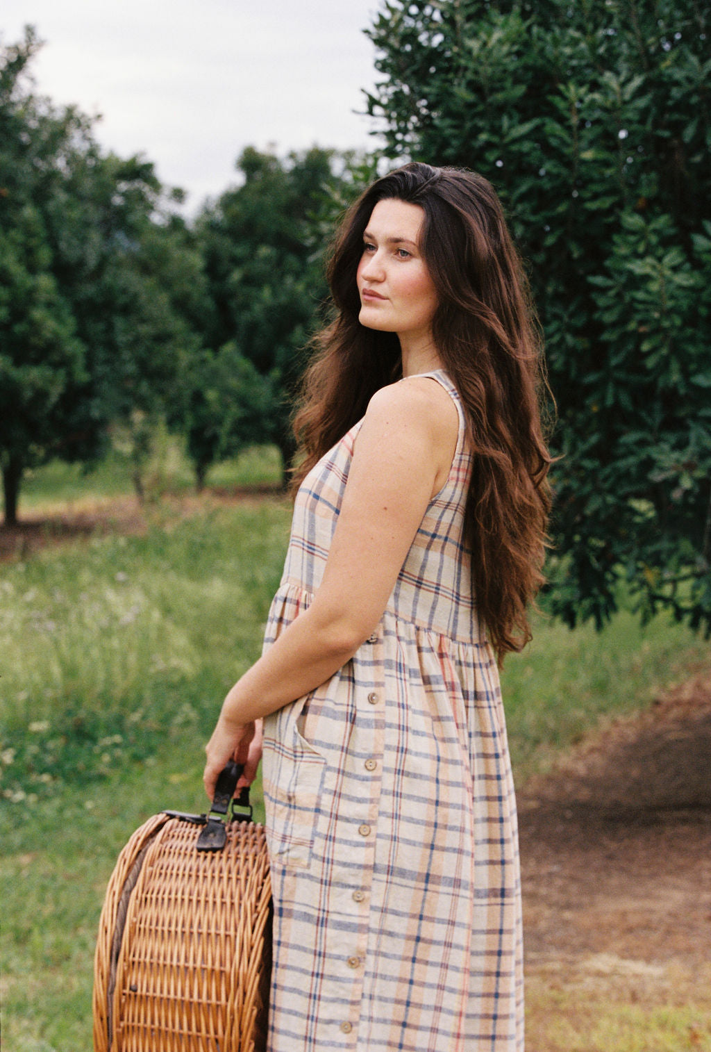 Isabella dress - Feverfew linen