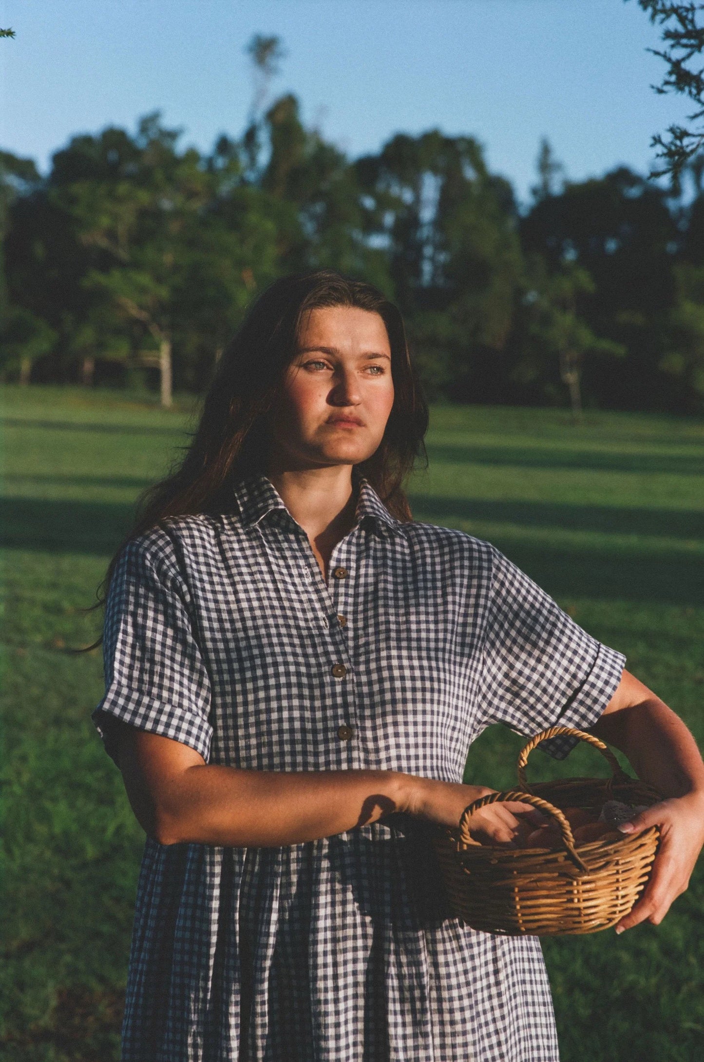 Santa Fe dress - Blue gingham