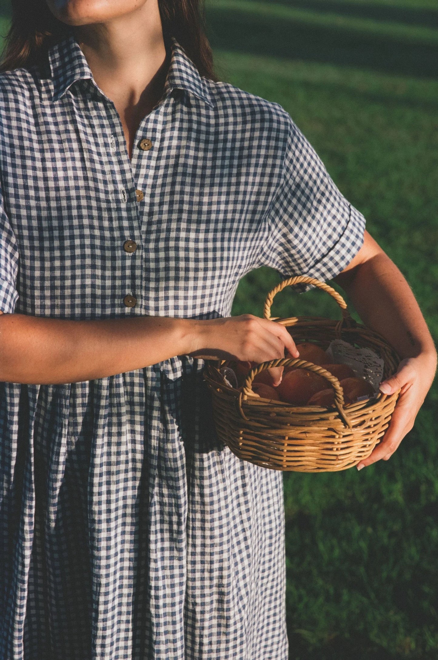 Santa Fe dress - Blue gingham