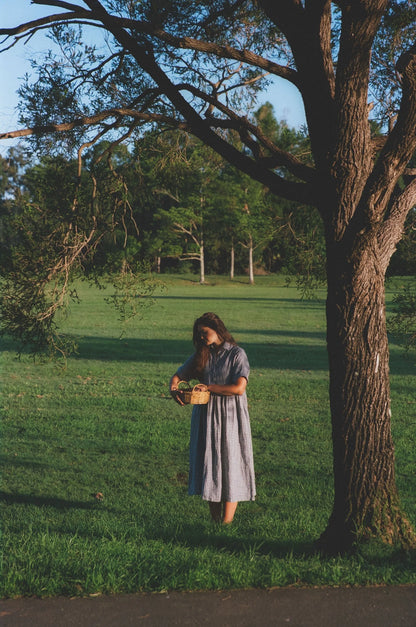 Santa Fe dress - Blue gingham