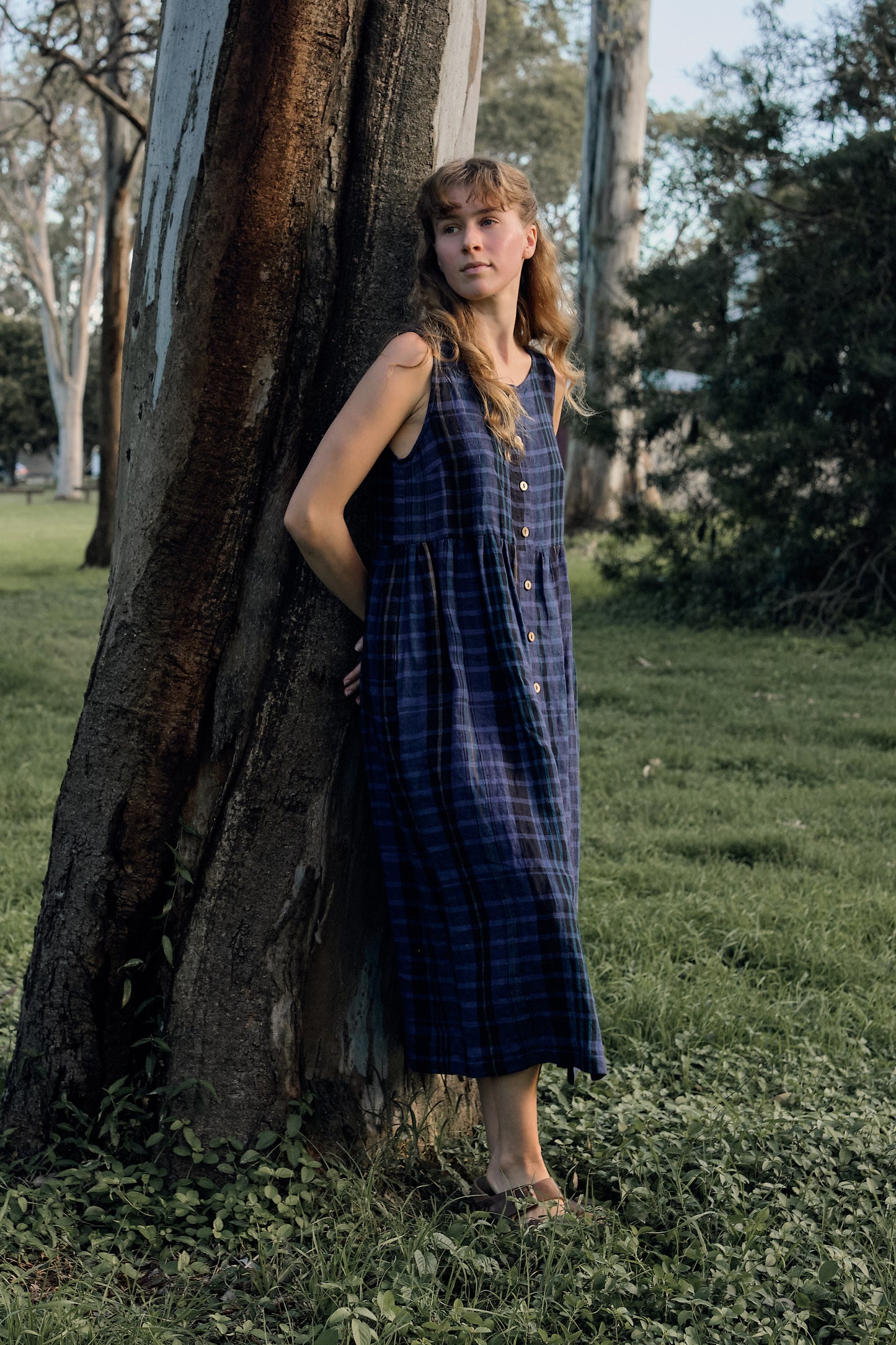 Lucia dress - blue plaid